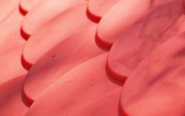 Nithbank plastic roof costs